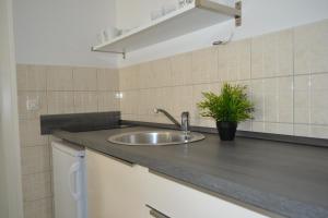 a kitchen counter with a sink and a potted plant at Black and White Spacious Apartment in Hvar +19 photos