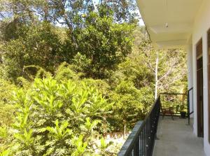 a balcony of a house with trees and bushes at Mama Cottage Ella in Ella +26 photos
