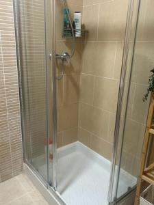 a shower with a glass shower stall in a bathroom at APARTAMENTO PALOMAREs in Zújar
