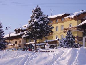 Residence Capriolo v zime