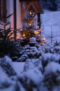 Appartements Macheiner during the winter
