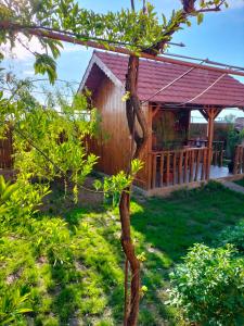 a house in a garden with a tree at Casa Cami in Jurilovca +8 photos