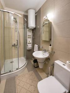 a bathroom with a shower and a toilet and a sink at Old Sailor`s house Rafailovici in Rafailovici