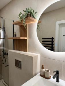 a bathroom with a sink and a mirror at Pajūrio Namai in Palanga +17 photos