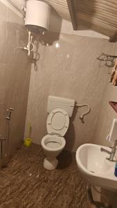 a bathroom with a toilet and a sink at Enchanting woods Yercaud in Yercaud