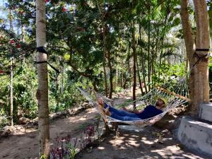 a man laying in a hammock in a forest at Enchanting woods Yercaud in Yercaud +17 photos
