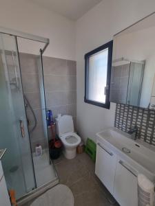 a bathroom with a toilet and a shower and a sink at Escapade à Saint-Saturnin-les-Avignon in Jonquerettes +10 photos