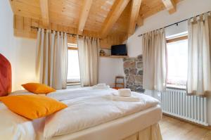 1 dormitorio con 1 cama grande y 2 ventanas en Tirso Apartament en Castello di Fiemme