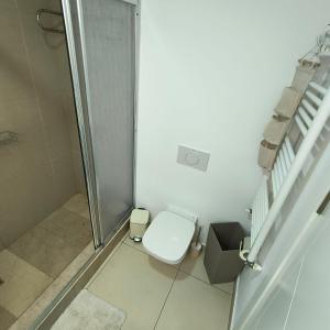 a bathroom with a toilet and a walk in shower at Condo Blaxy Resort Olimp in Olimp