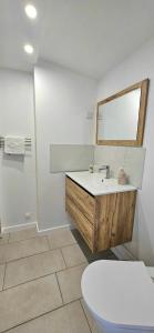a white bathroom with a sink and a toilet at Source de la Vallée in Sadroc +14 photos
