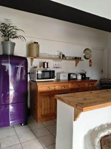 a kitchen with a purple refrigerator and a table at Prosper Stud Guest House in Robertson