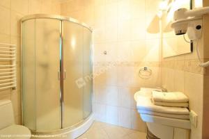 a bathroom with a shower and a toilet and a sink at Agroturystyka Bobrowa Chata in Iława +57 photos