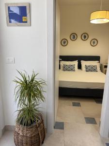 a bedroom with a bed and a potted plant at Casa Lucia in Calabernardo +26 photos