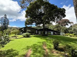 a house with a large tree in the yard at Vimbainashe Villas in Umtali