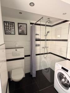 a bathroom with a shower toilet and a washing machine at Hermelsstübche in Siegen +9 photos