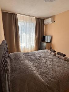 a bedroom with a large bed and a window at Aneva home in Ruse
