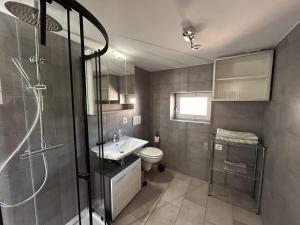 a bathroom with a shower and a toilet and a sink at Am kleinen Storchennest in Ummendorf