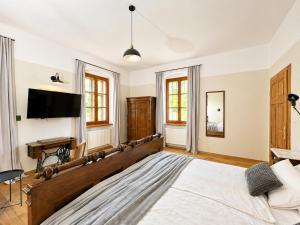 a bedroom with a large bed and a flat screen tv at Rezidenca Korman in Fala