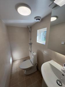 a bathroom with a toilet and a sink at The Small Beach House in Rydebäck