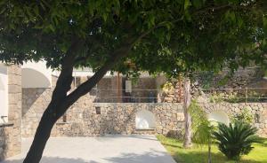 a building with a stone wall and a tree at B&B Carpe Diem Domus in Lacco Ameno