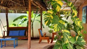 a room with a couch and a palm tree at The 5th Element Boutique Hotel in Paje