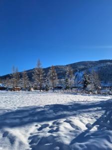 a snow covered field with trees in the distance at Willa Przy Skoczni in Zakopane
