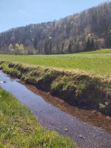 a stream in a field next to a grassy field at POČITNIŠKA HIŠA Jan in Mišji Dol +4 photos