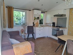 a living room and kitchen with a couch and a table at De Huisbij in Oude Willem