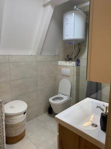 a small bathroom with a toilet and a sink at Forest View Kolašin in Kolašin +6 photos
