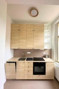 a kitchen with wooden cabinets and a sink at Elbe Stay Roudnice in Roudnice nad Labem