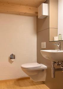 a bathroom with a toilet and a sink at Blüemlisalp-Huus im Kiental in Kiental