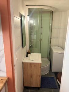 a bathroom with a sink and a shower and a toilet at Blez kò in Vaucouleurs