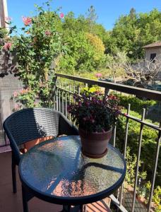 a table with a potted plant on a balcony at CASA DI ALICE a Sambuca Val di Pesa in Badia A Passignano