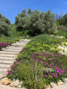 a garden with pink flowers on a pathway at Le jardin Désiris - Logement indépendant avec jardin et parking privé in Pézenas