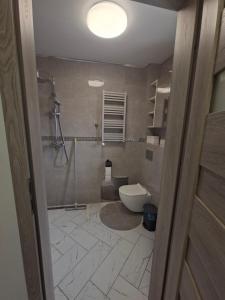 a bathroom with a toilet and a shower at Dom w dolinie in Zagórz