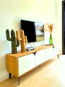 a living room with a tv and cactus on a cabinet at Cozy & Terrace Apartament5 in Los Cristianos