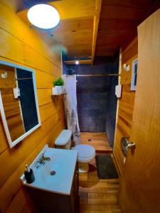 a bathroom with a white toilet and a sink at Glamping MORET Cabaña Alpina M2 in Los Lirios