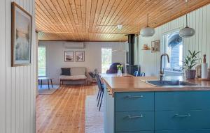 a kitchen with blue cabinets and a wooden ceiling at Gorgeous Home In Læsø With Wifi in Læsø