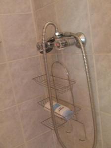 een douche met een zeef in een douchecabine bij Vadszőlő Vendégház in Cák