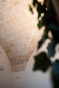 a ceiling of a building with a plant in the foreground at Casa Gentile in Conversano