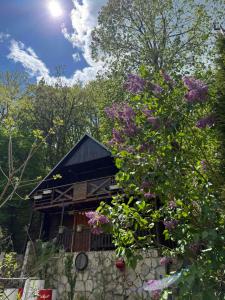 a tree with purple flowers in front of a house at Vikendica Lenka in Sijarinska Banja +16 photos