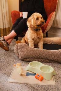 a dog sitting in a chair next to a woman at Delta Hotels by Marriott Preston in Preston