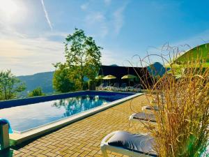 a swimming pool with chairs next to a house at Doinita House in Borşa