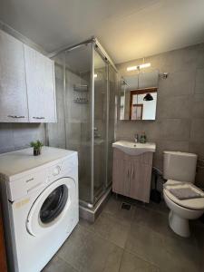 a bathroom with a washing machine and a toilet at Olive tree villa in Ligia +74 photos