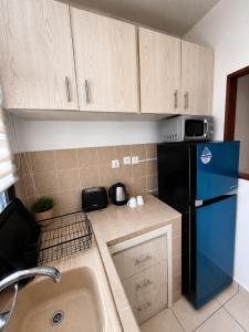 eine Küche mit einem blauen Kühlschrank und einer Spüle in der Unterkunft Garden Apartment Abidjan in Abidjan