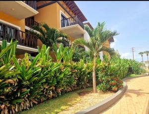 a palm tree in front of a building at Petit Charlie @ Forest view in Banjul