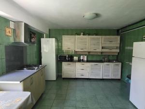 a kitchen with a white refrigerator and green walls at Casa Ana Serena in Eşelniţa