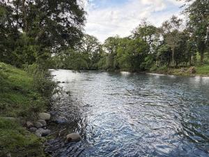 a river with rocks on the side of it at Ticary Nature Homes in Guápiles