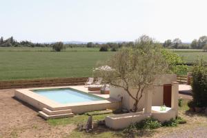 a small swimming pool in a yard with a tree at Mas Les Arrabassades in Castelló d'Empúries
