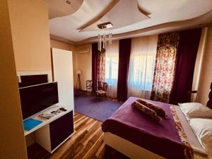 ein Hotelzimmer mit Bett und Fernseher in der Unterkunft Hotel Gold in Pljevlja
